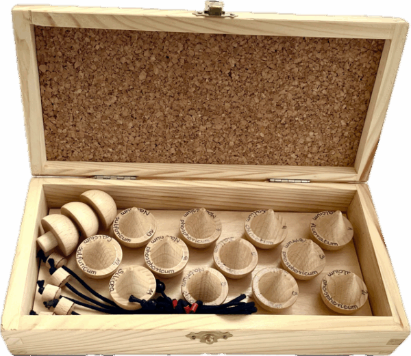Schüssler Salze Basis-Set 1-12